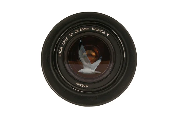 28-80 毫米单反相机镜头 — 图库照片