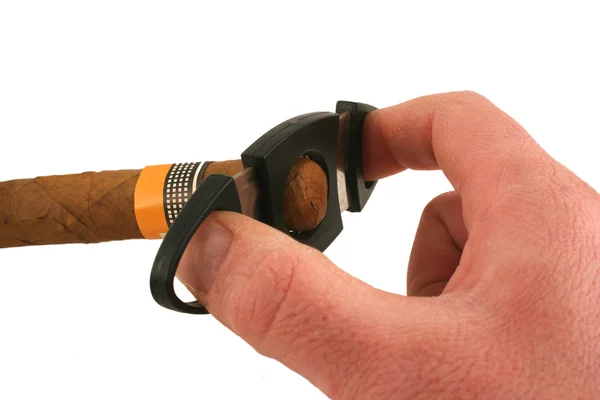Hand cutting a cigar on white — Stock Photo, Image