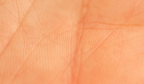 인간의 손바닥 매크로 — 스톡 사진
