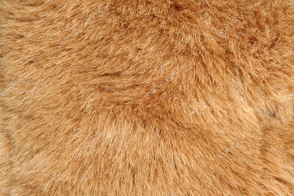 Brown fur background texture Stock Photo by ©njnightsky 2060085