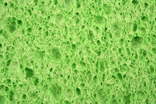 Зелена губка текстурований фон — стокове фото