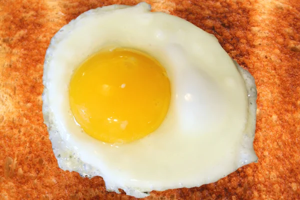 Toast mit Ei Sonnenseite nach oben — Stockfoto