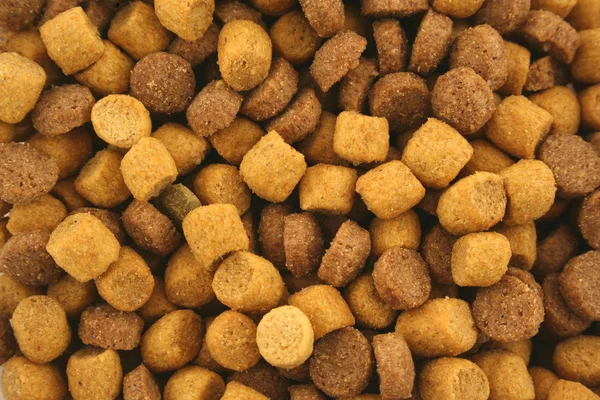 Dry Cat food background — Stock Photo, Image