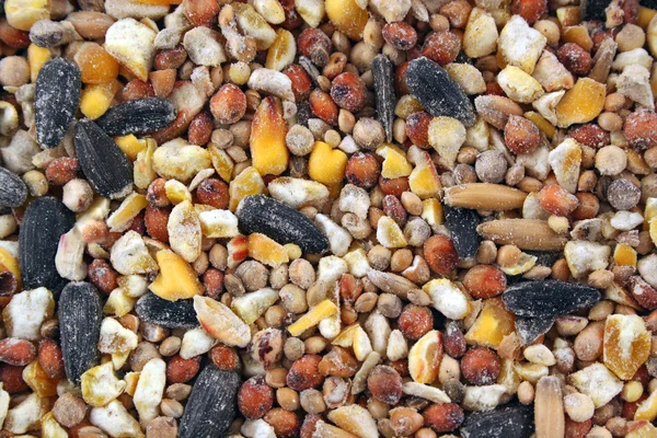 Bird seed Texture background — Stock Photo, Image