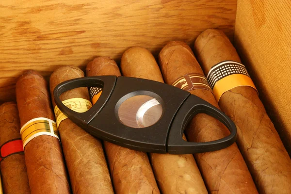 Cigars with cutter — Stock Photo, Image