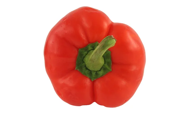 Geïsoleerde rode paprika top op wit — Stockfoto