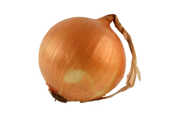Isolated Yellow onion on white — Zdjęcie stockowe