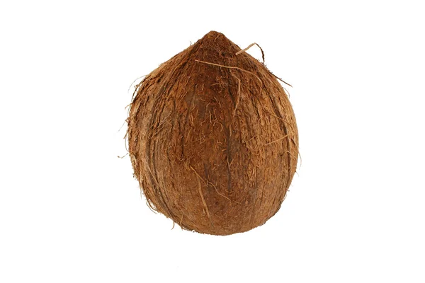 Isolert kokosnøtt på hvit bakgrunn – stockfoto