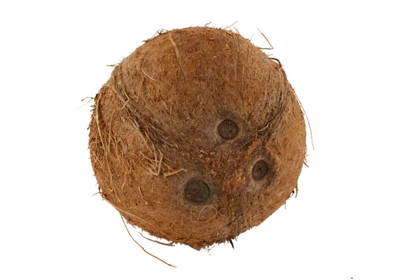 Izolované kokos na bílém pozadí — Stock fotografie