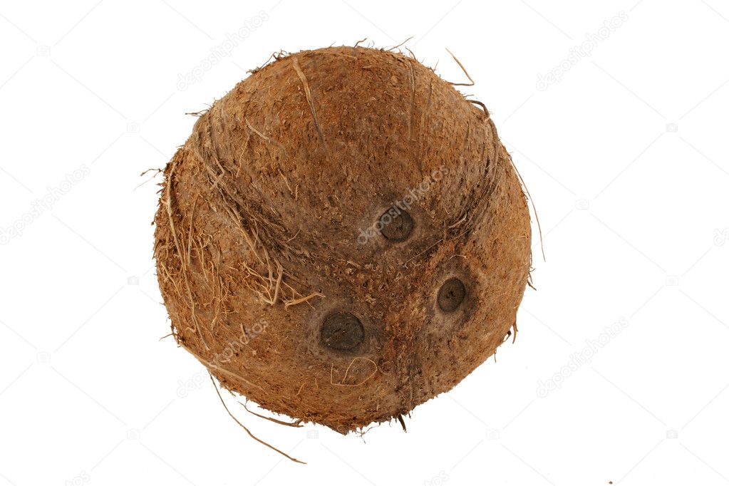 Isolated coconut on white background