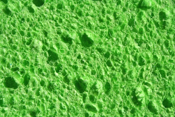 Esponja verde fundo — Fotografia de Stock