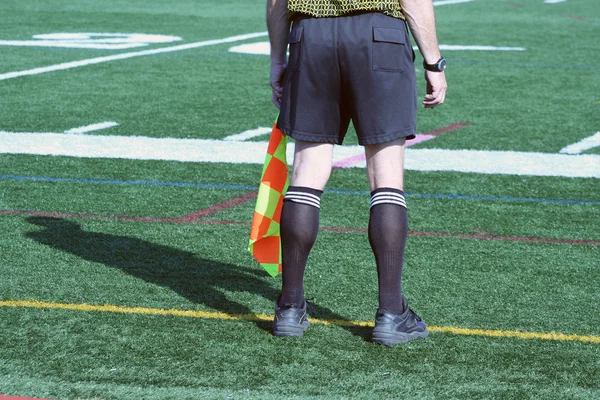 stock image Soccer Official