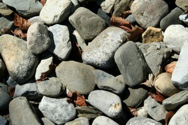 Rocks and dead leaves background