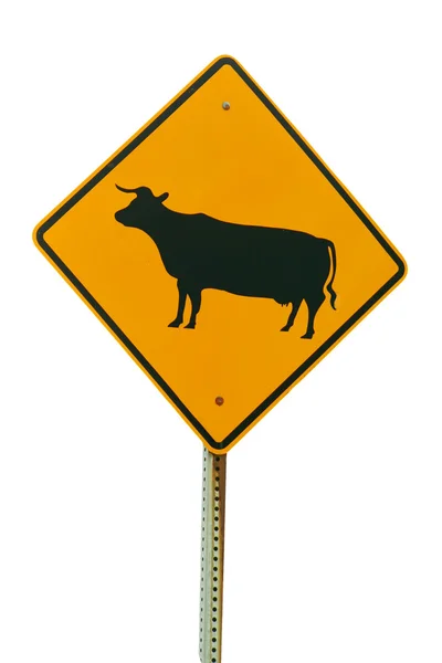 Na białym tle bydła przekraczania znak — Zdjęcie stockowe