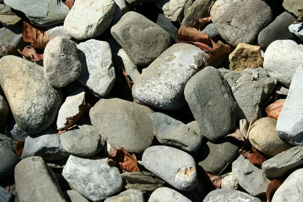 Rocks and dead leaves background — Stock Photo, Image
