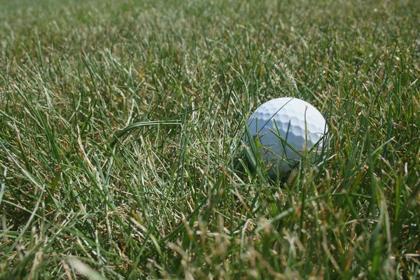 高尔夫球球在粗糙 — 图库照片