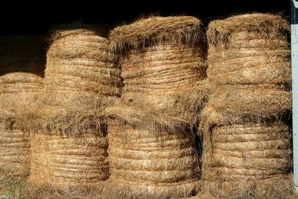 Stacked Hay Bales — Stock Photo, Image