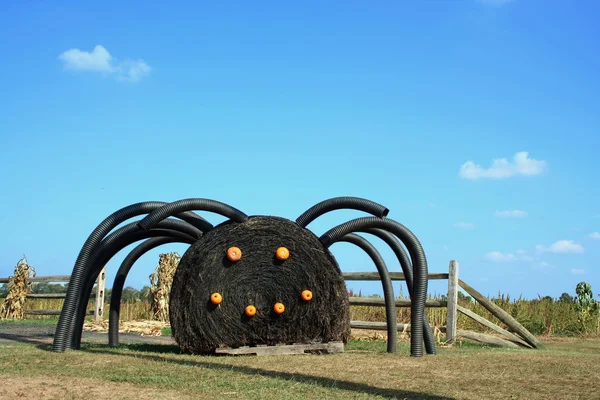 Black Spider — Stock Photo, Image