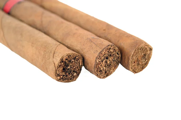 Cigars — Stock Photo, Image