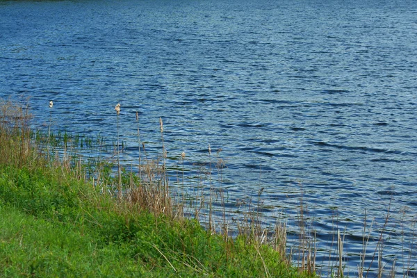 Orilla del lago —  Fotos de Stock