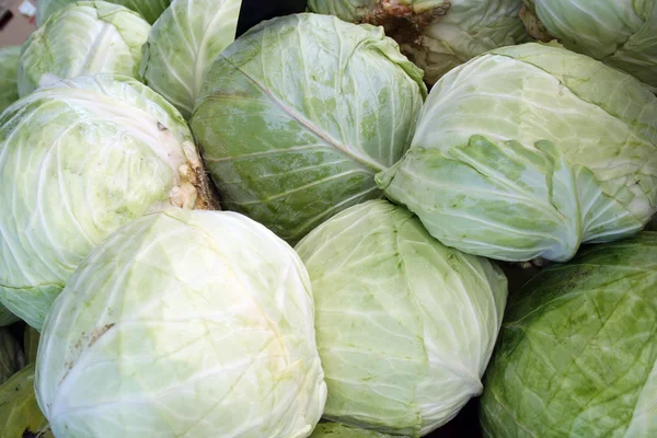 Heads of Cabbage — Stock Photo, Image