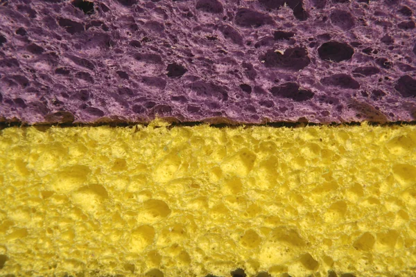 黄色和紫色海绵 — 图库照片
