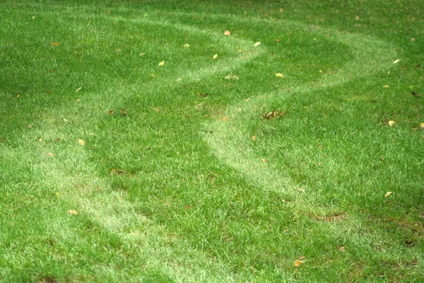 Huellas de neumáticos en la hierba — Foto de Stock