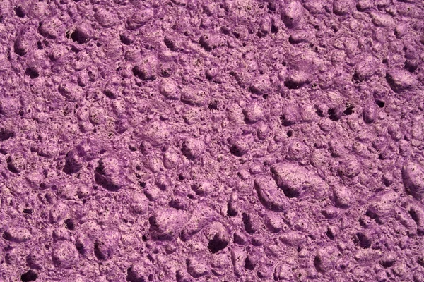 Fioletowy gąbka — Zdjęcie stockowe