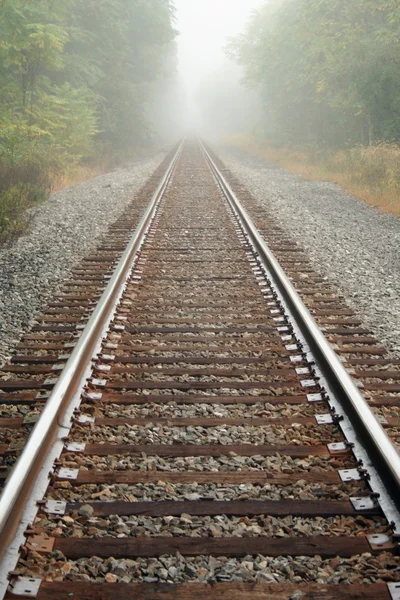 霧の鉄道線路 — ストック写真