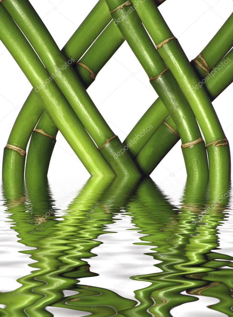 Braided Bamboo with water reflection