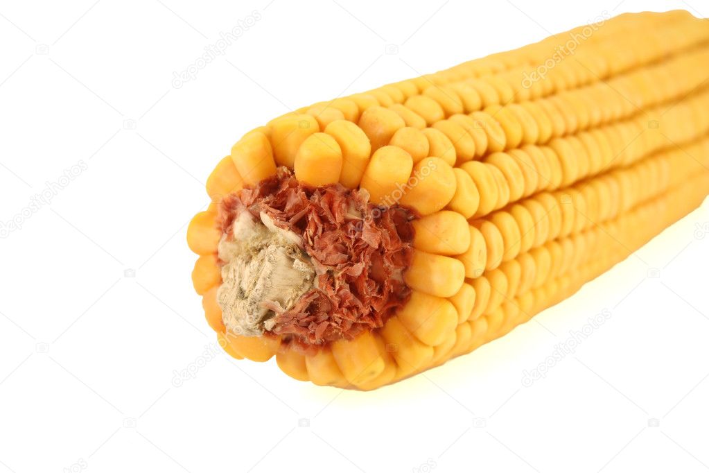 Yellow corn cob