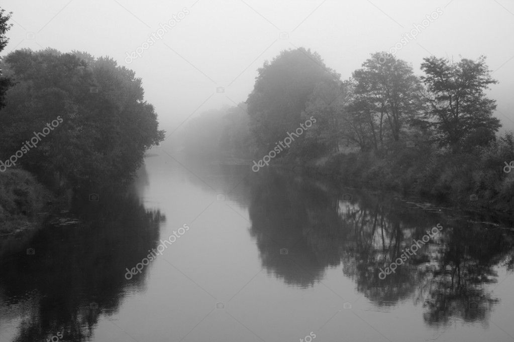 Foggy River Scene