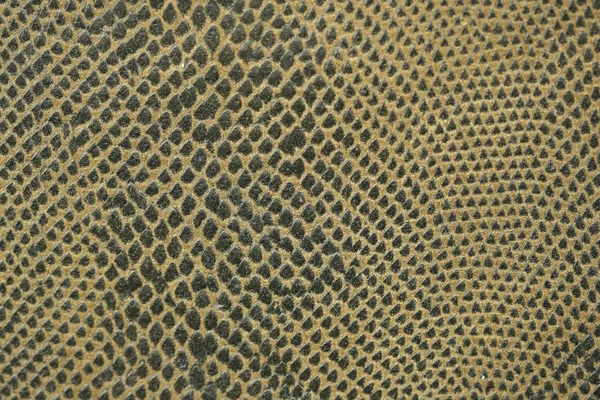 Yılan deri kumaş makro — Stok fotoğraf