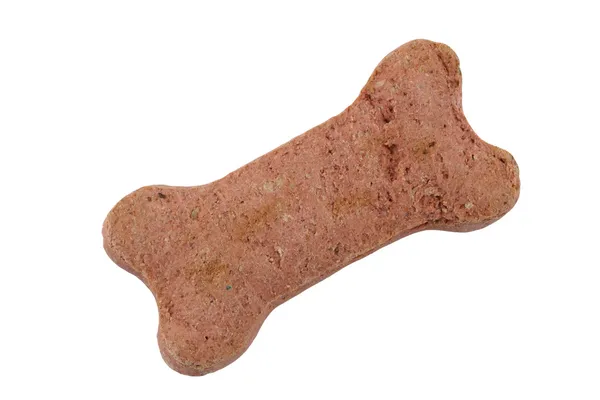 Biscuit de câine izolat — Fotografie, imagine de stoc