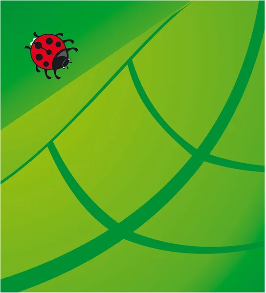 Lady Beetle — Stock Vector