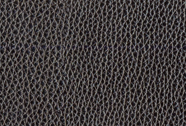 Black leather 1 — Stock Photo, Image