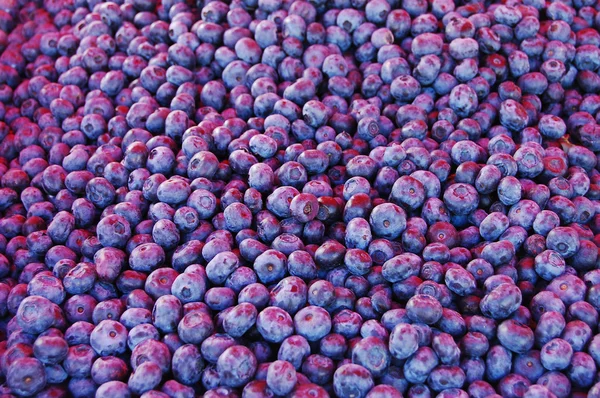 Stock image Yummy Blueberries