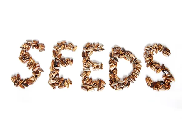 Stripy Seeds — Stock Photo, Image