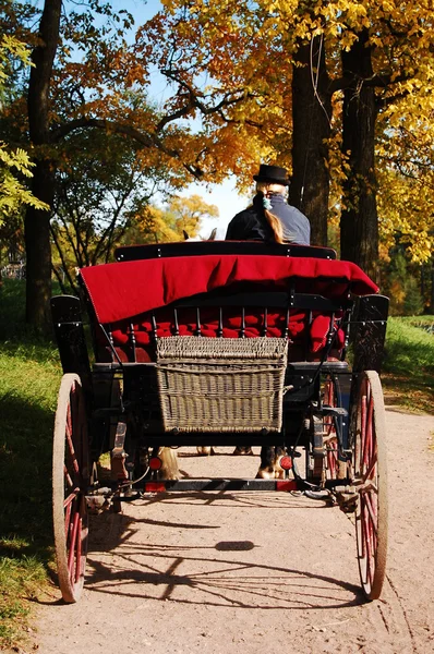 stock image Carriage in the park