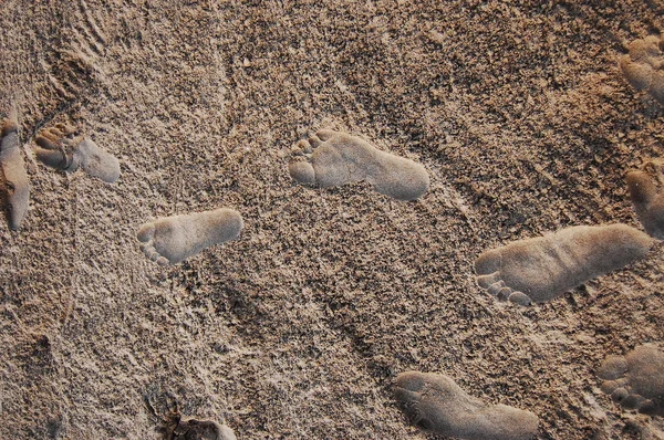 stock image Embossed footprints