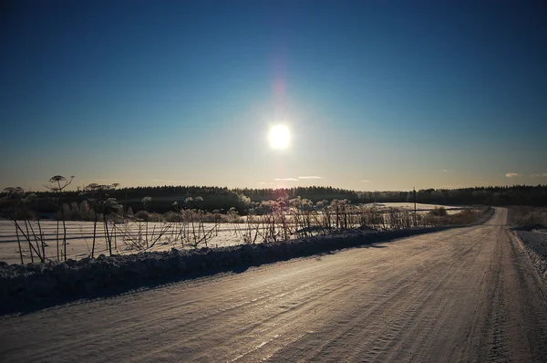 Холодное зимнее солнце — стоковое фото