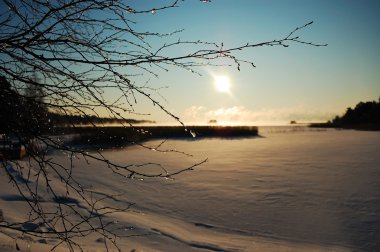Sunny winter landscape clipart