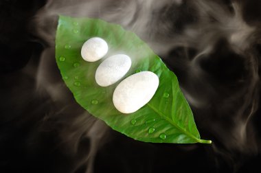 White spa stones clipart