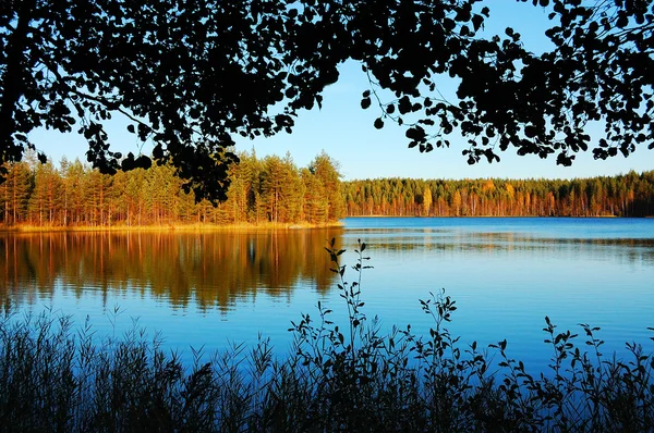 피콜로 레스 크의 가을 풍경 — 스톡 사진