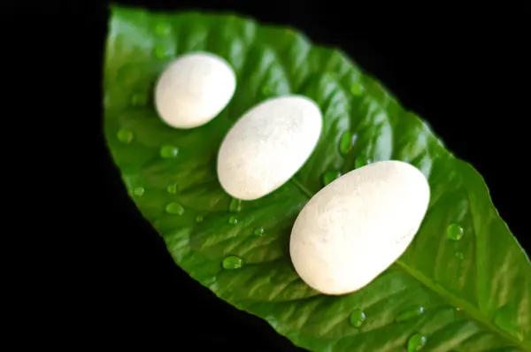 stock image White spa stones