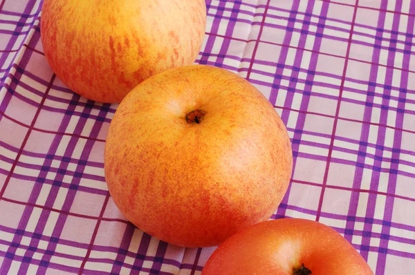 Fresh ripe apples — Stock Photo, Image