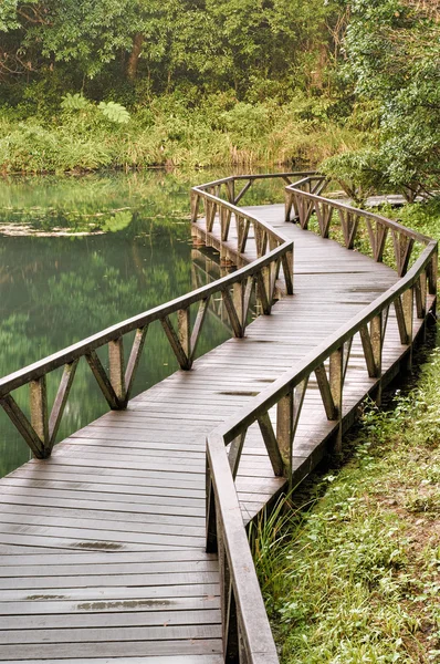 Cenário da natureza — Fotografia de Stock