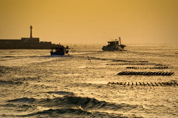 Водна хвиля і рибний човен — стокове фото