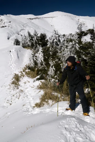 Человек стоит на снежной горе — стоковое фото