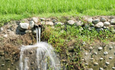 Outfall and paddy fields clipart